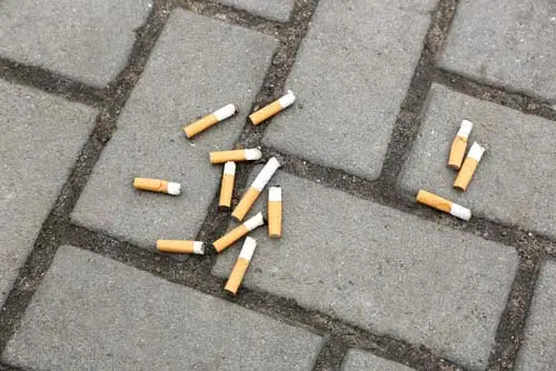 Cigarette butts on asphalt